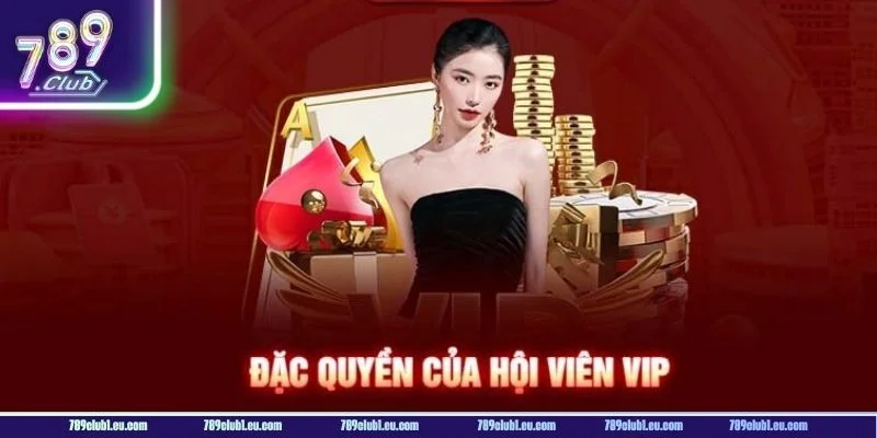Rất nhiều chương trình khuyến mãi VIP mà bạn không thể bỏ lỡ.